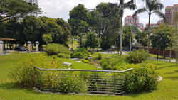 Windsor Park (D20), Terrace #137263032
